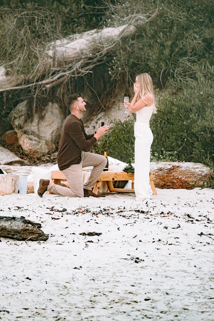 Carmel Proposal Photographer