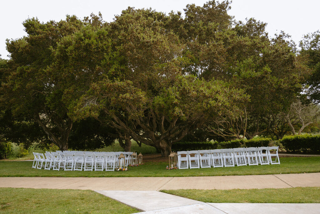 Wedding Ceremony at Carmel Fields by Wedgewood under the oak tree.