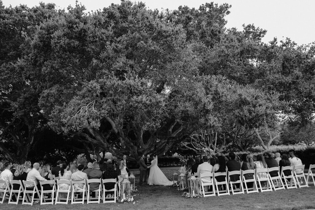 Wedding Ceremony at Carmel Fields by Wedgewood under the oak tree.